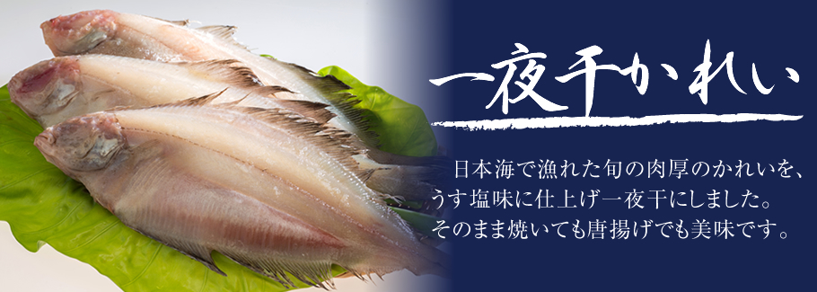 一夜干かれい。日本海で漁れた旬の肉厚かれいを、うす塩味に仕上げ一夜干しにしました。そのまま焼いても唐揚げでも美味です。