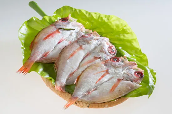 のどぐろ 一夜干し（3枚）の商品写真。肉厚のおいしそうなのどぐろの一夜干しが３枚かごの上に並んでいる写真。